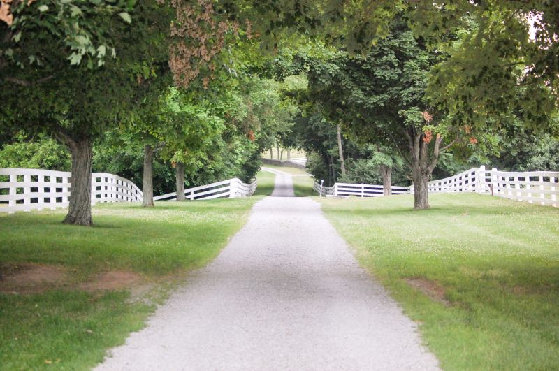 Driveway Installation